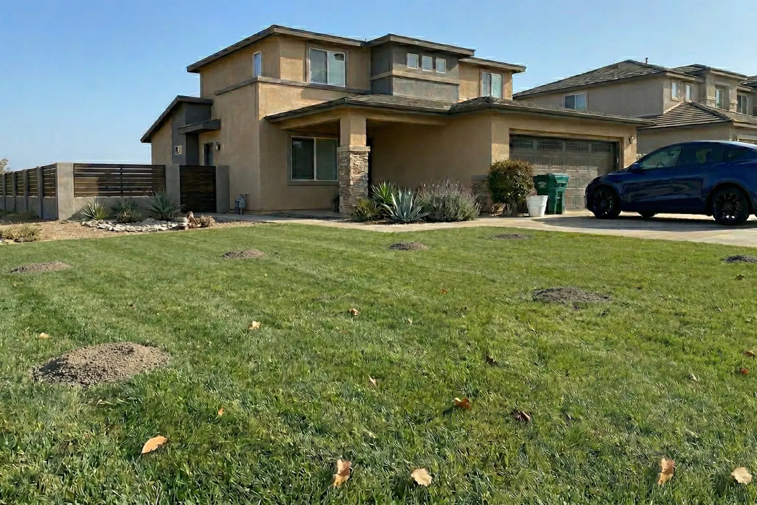 Residential lawn with multiple gopher mounds in front of a Southern California home during gopher season.